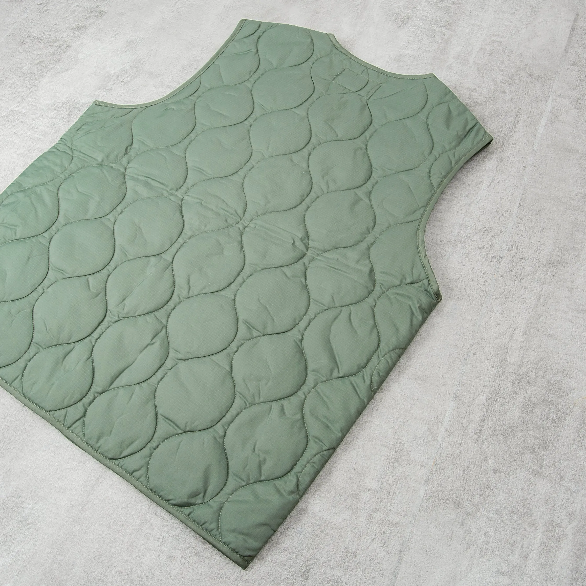 Carhartt WIP Skyton Vest - Park