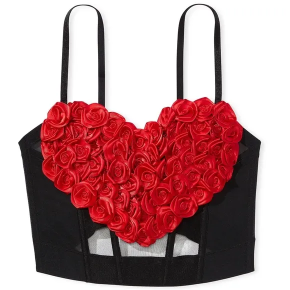 NWT $199 VS Archives M Rosette Corset Top Embroidery Appliqué Roses Floral Mesh