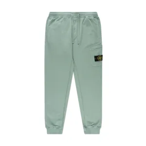 stone island tapered track pants (sage)